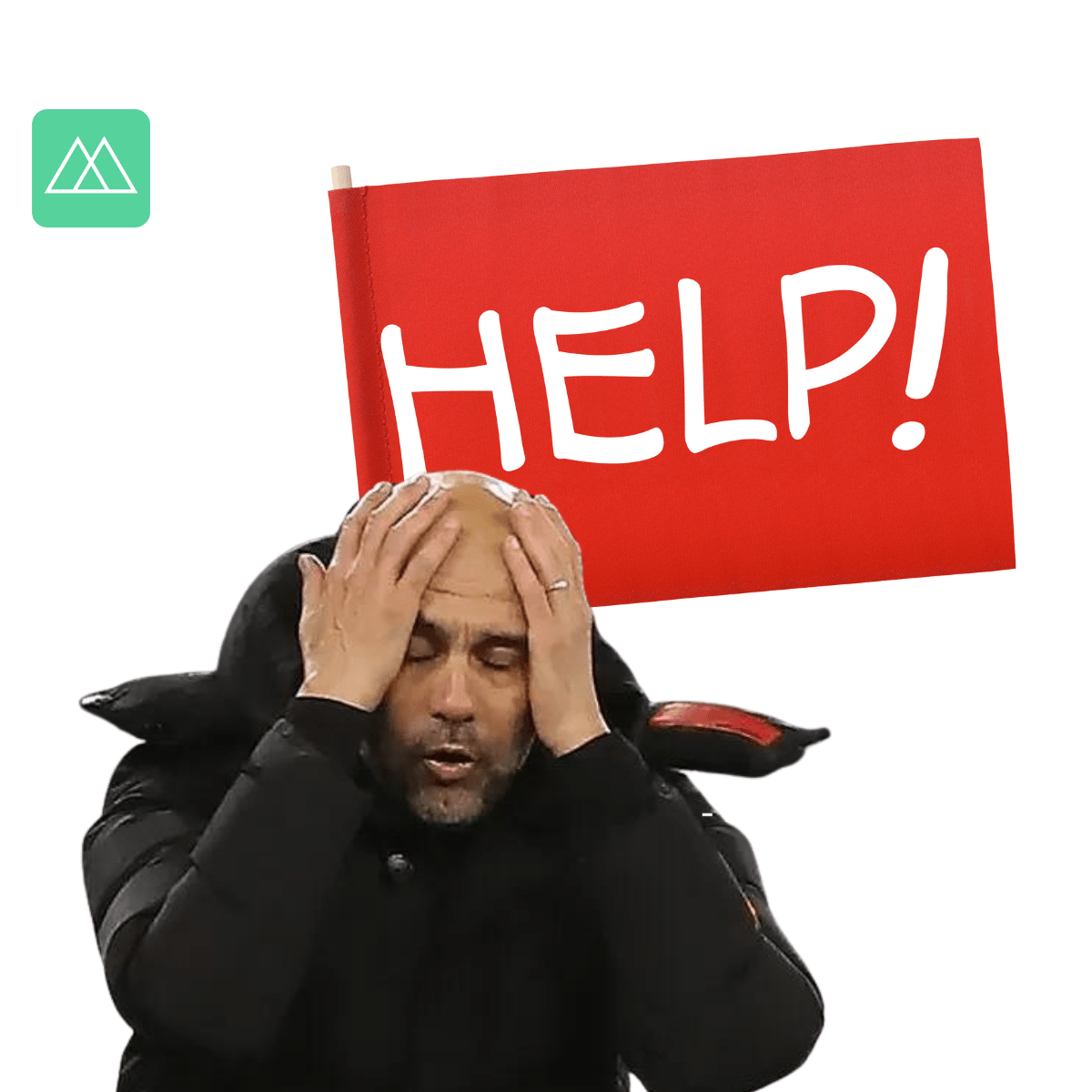 Blog & Articles.The Oops and Arrgh Moments of Sports Managers (Frustrations 1-5) Man holding his head in frustration under the word HELP