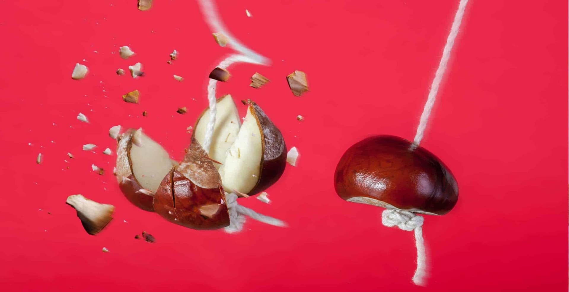Blog & Articles. picture of two conkers one has been smashed